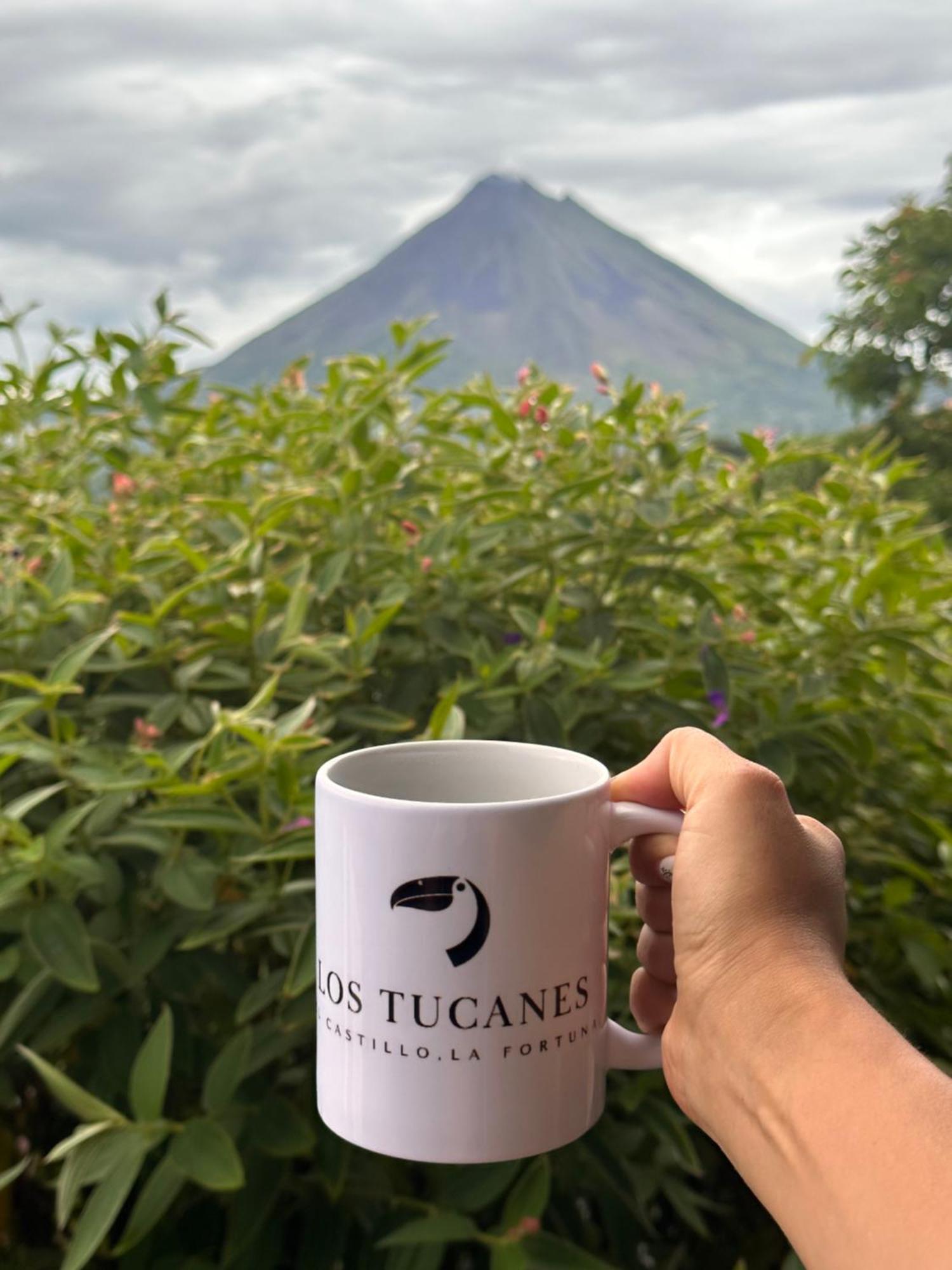 Los Tucanes Lodging El Castillo Экстерьер фото